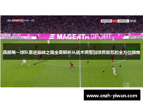 西部第一球队重返巅峰之路全面解析从战术调整到球员复苏的全方位指南