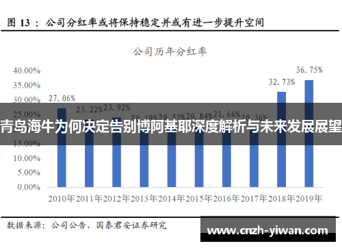 青岛海牛为何决定告别博阿基耶深度解析与未来发展展望 青岛海牛为何决定告别博阿基耶深度解析与未来发展展望