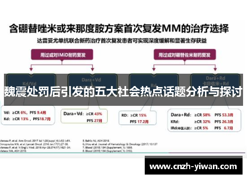 魏震处罚后引发的五大社会热点话题分析与探讨