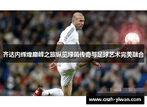 齐达内辉煌巅峰之旅纵览绿茵传奇与足球艺术完美融合